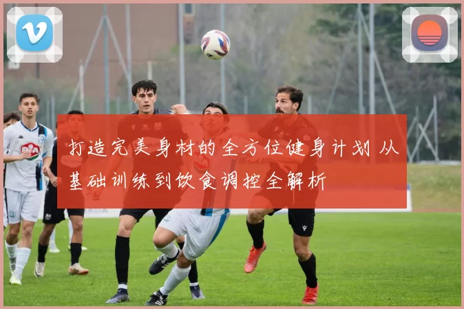 打造完美身材的全方位健身计划 从基础训练到饮食调控全解析