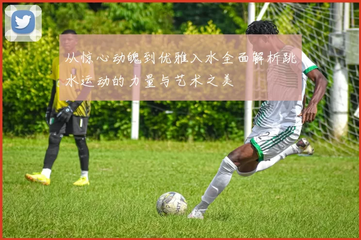 从惊心动魄到优雅入水全面解析跳水运动的力量与艺术之美