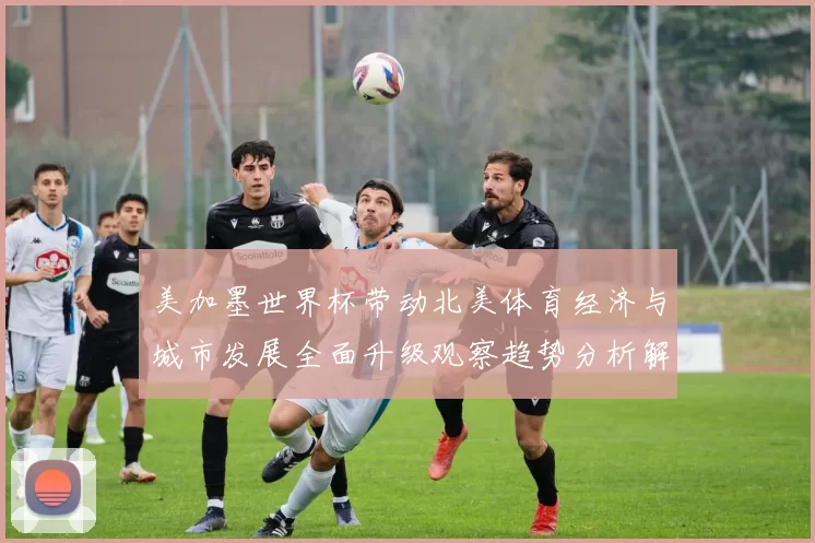美加墨世界杯带动北美体育经济与城市发展全面升级观察趋势分析解