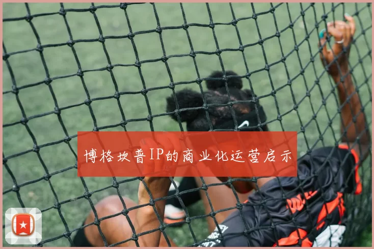 博格坎普IP的商业化运营启示